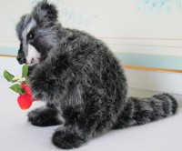 /album/xxx/waschbar-candy-jpg/